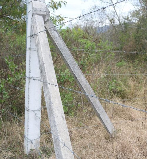 Poste Ganadero